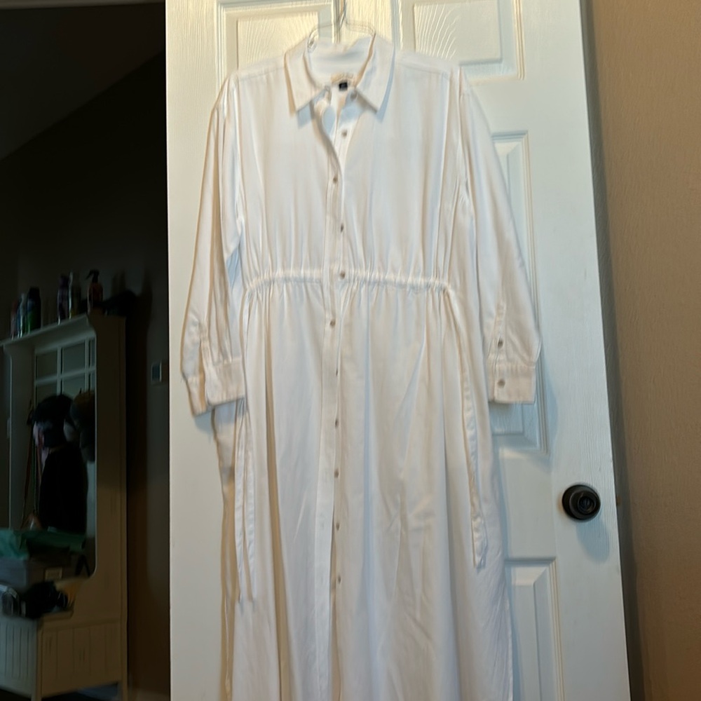 Cinch Waist Shirt Dress